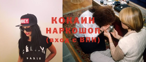 стафф Арсеньев