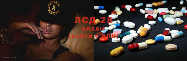 стафф Арсеньев
