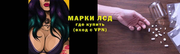 стафф Арсеньев