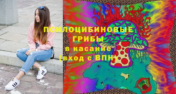 стафф Арсеньев