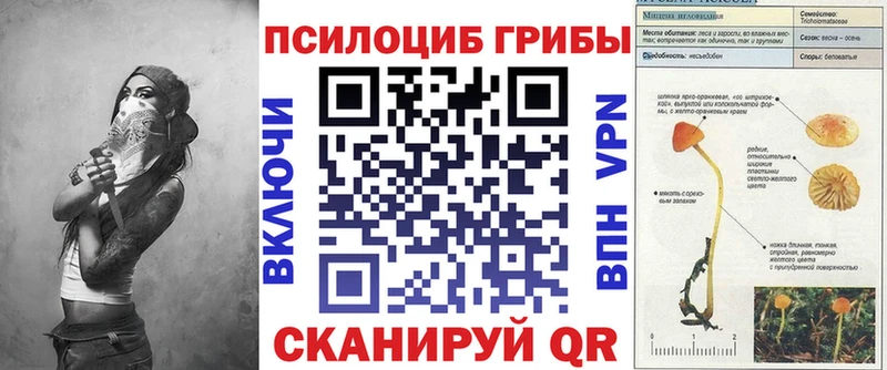 Псилоцибиновые грибы Psilocybine cubensis  Безенчук 
